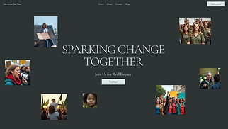 Politics website templates - Protest Rally (Dynamic)
