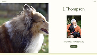 Pets & Animals website templates - Vet (Trendy)