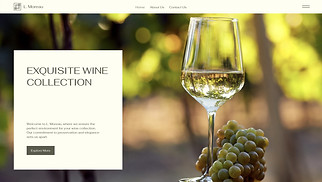 Restaurants & Food website templates - Wine Storage Facility (Elegant)