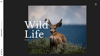 Reise & Dokumentation Website-Vorlagen - Wildtier-Fotograf/in