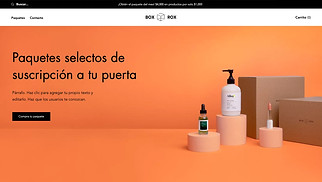 Maquillaje y cosmética plantillas web – Empresa de cajas de suscripción 