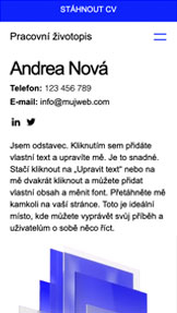 Portfolio a životopis website templates – Pracovní životopis