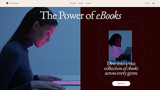 Literary Arts website templates - Literary eBook Landing Page (Sophisticated)