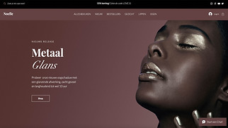 Webshop website templates - Beauty winkel