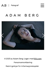 Alt website templates – Fotograf