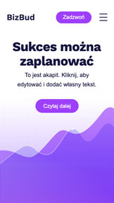 Wszystkie website templates – Firma doradztwa biznesowego