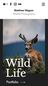 Mẫu trang web Du lịch và Phim tư liệu – Nhiếp ảnh gia chụp cuộc sống hoang dã