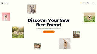 Pets & Animals website templates - Dog Breeder (Cheerful)