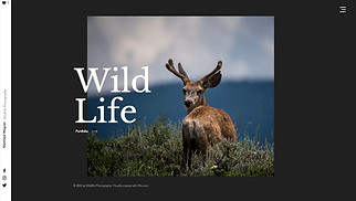 사진 웹 사이트 템플릿 – 야생 동물 사진작가