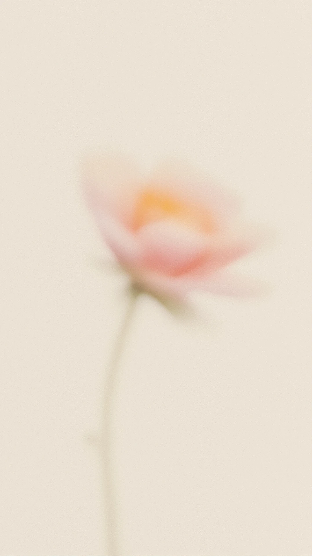 Romantic Pastel Floral Mobile Wallpapers