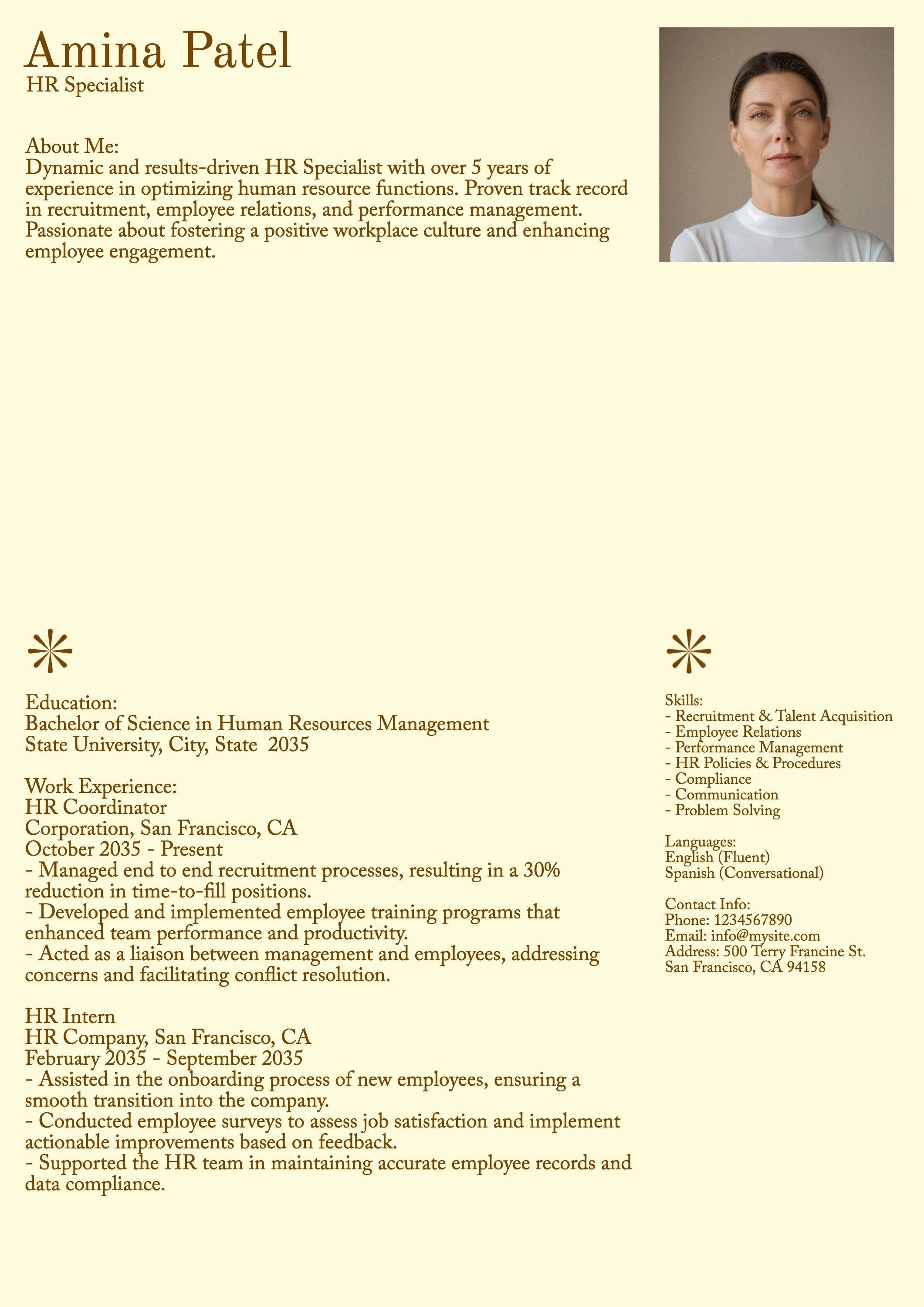 Elegant Sleek  Modern  Resume