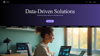 website templates - SaaS Company (Elegant)