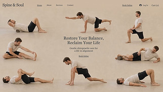 Шаблон для сайта в категории «Медицина» — Chiropractor (Soft)