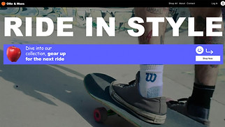 eCommerce website templates - Skateboard Shop (Street)