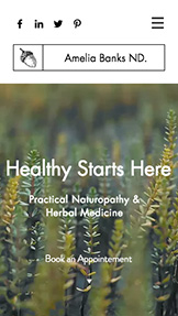 Mẫu trang web Sức khỏe – Chuyên gia trị liệu thay thế