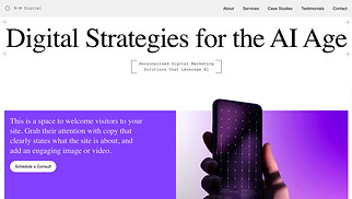 Alle t Website-Vorlagen - Digital-Marketing-Berater (Strahlend)