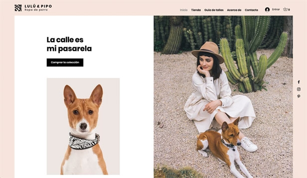 Plantillas web de Moda y ropa | Tienda Online  - Página 2
