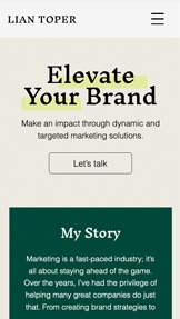 Mẫu trang web Trang đích – Consultant Landing Page